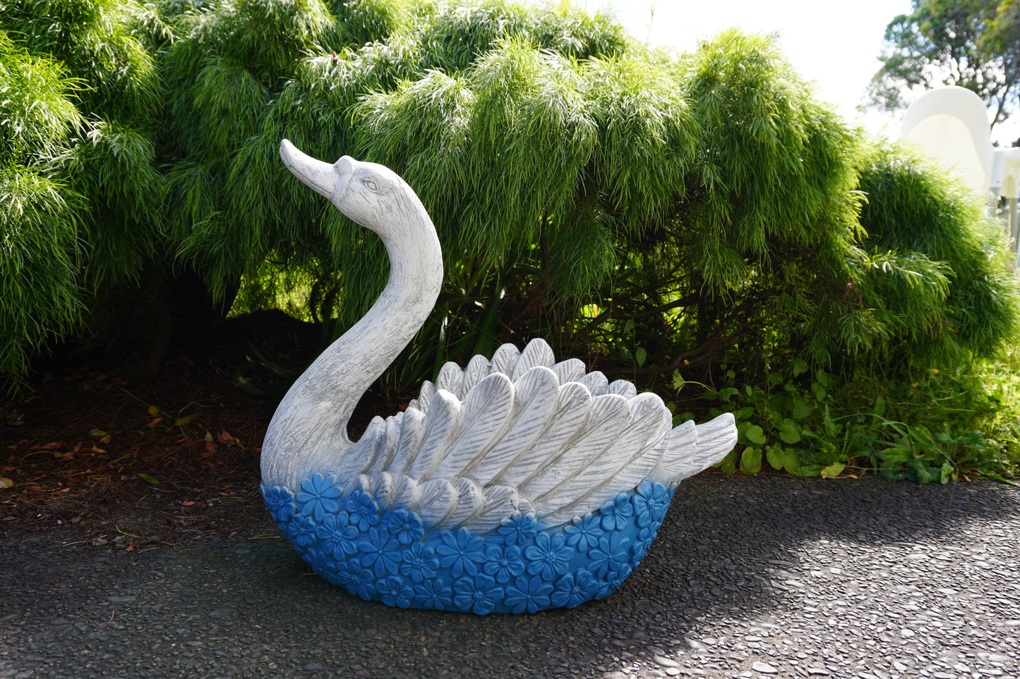 swan pot Auckland