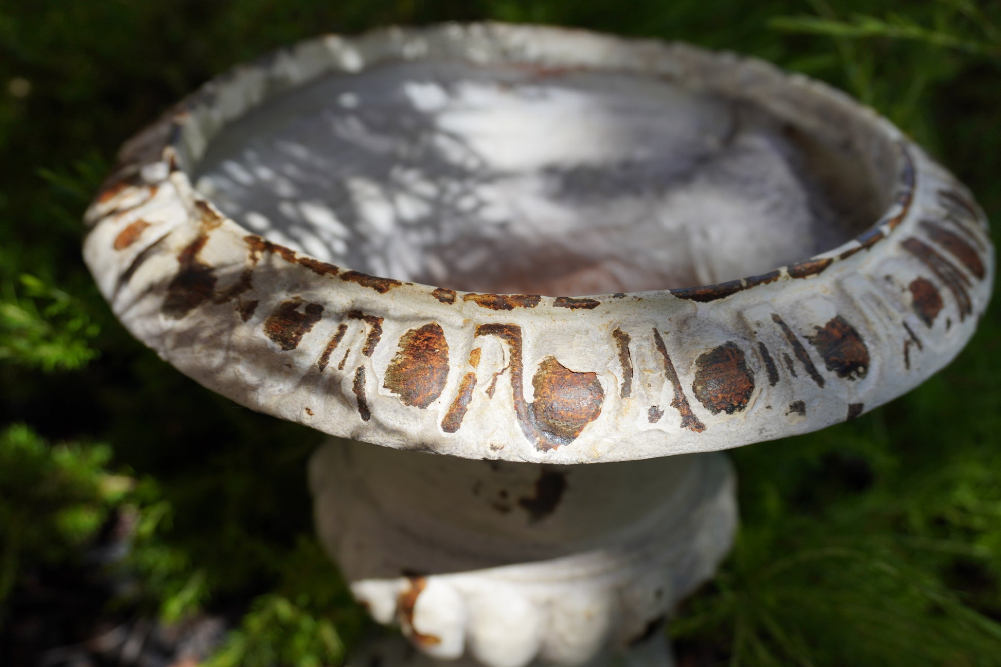 zoomed in picture showing rust