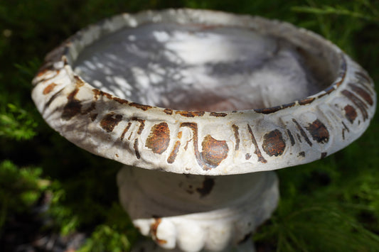 zoomed in picture showing rust